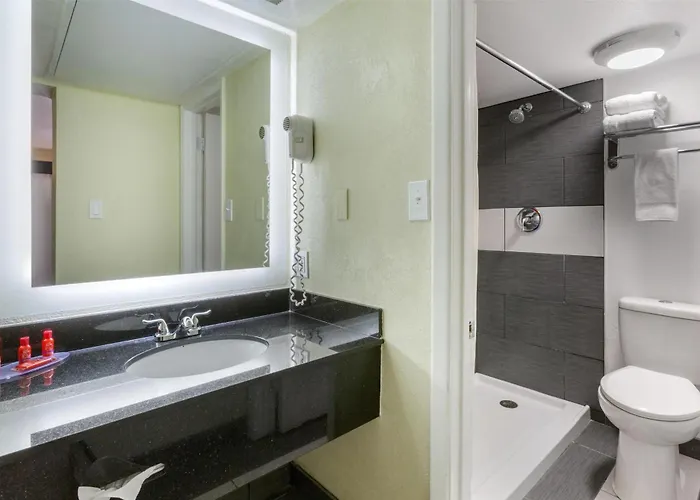 Hotel Surestay By Western Petrified Forest Chambers