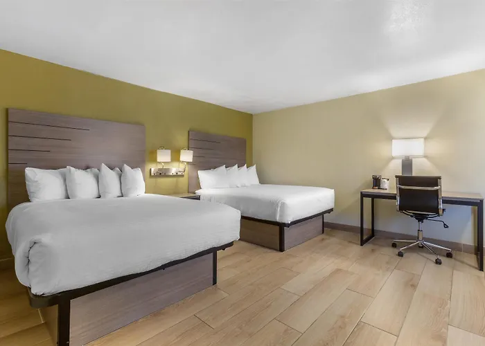 Hotel Surestay By Western Petrified Forest Chambers