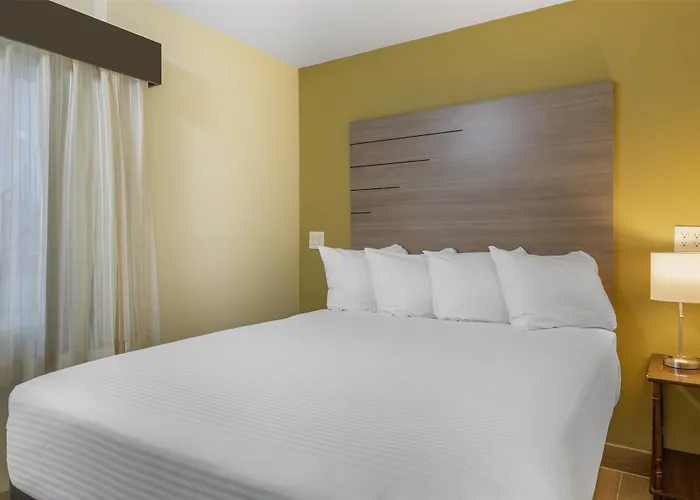 Surestay By Western Petrified Forest Hotel